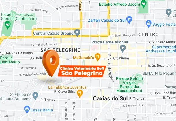 Imagem de um mapa com um pino laranja destacando o endereço da clínica veterinária em Caxias do Sul, facilitando a localização para clientes e pets.