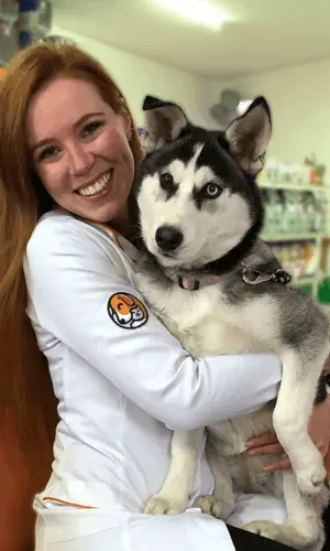 Dra. Fernanda, médica veterinária da Clínica Veterinária Boff em Caxias do Sul, vestindo jaleco branco e segurando um Husky, exemplificando profissionalismo e cuidado animal.