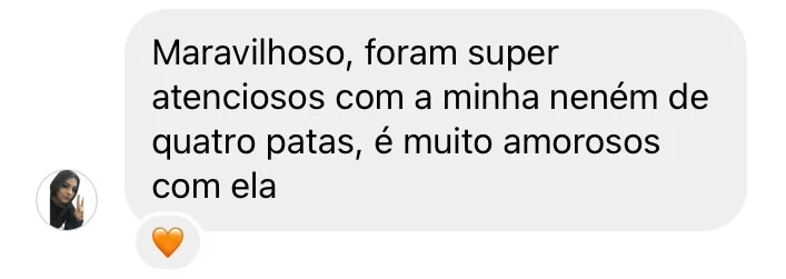 Imagem destacando depoimentos de clientes satisfeitos com o atendimento da clínica veterinária em caxias do sul.