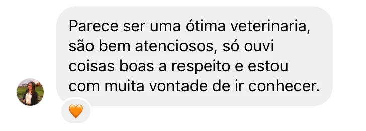 Imagem destacando depoimentos de clientes satisfeitos com o atendimento da clínica veterinária em caxias do sul.