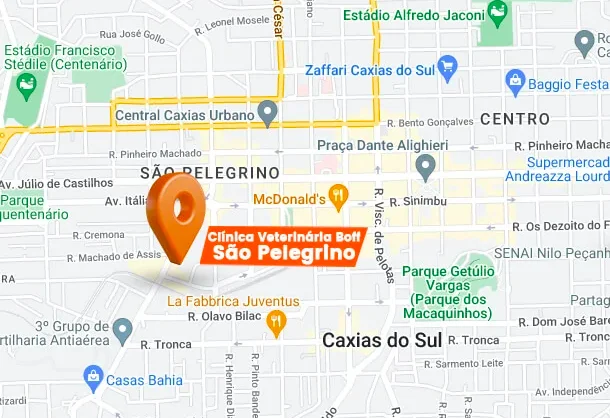 Imagem de um mapa com um pino laranja destacando o endereço da clínica veterinária em Caxias do Sul, facilitando a localização para clientes e pets.